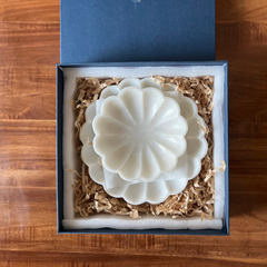 Scallop Urli with Gift Box | Set of 2