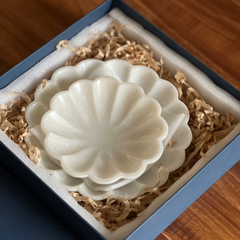 Scallop Urli with Gift Box | Set of 2